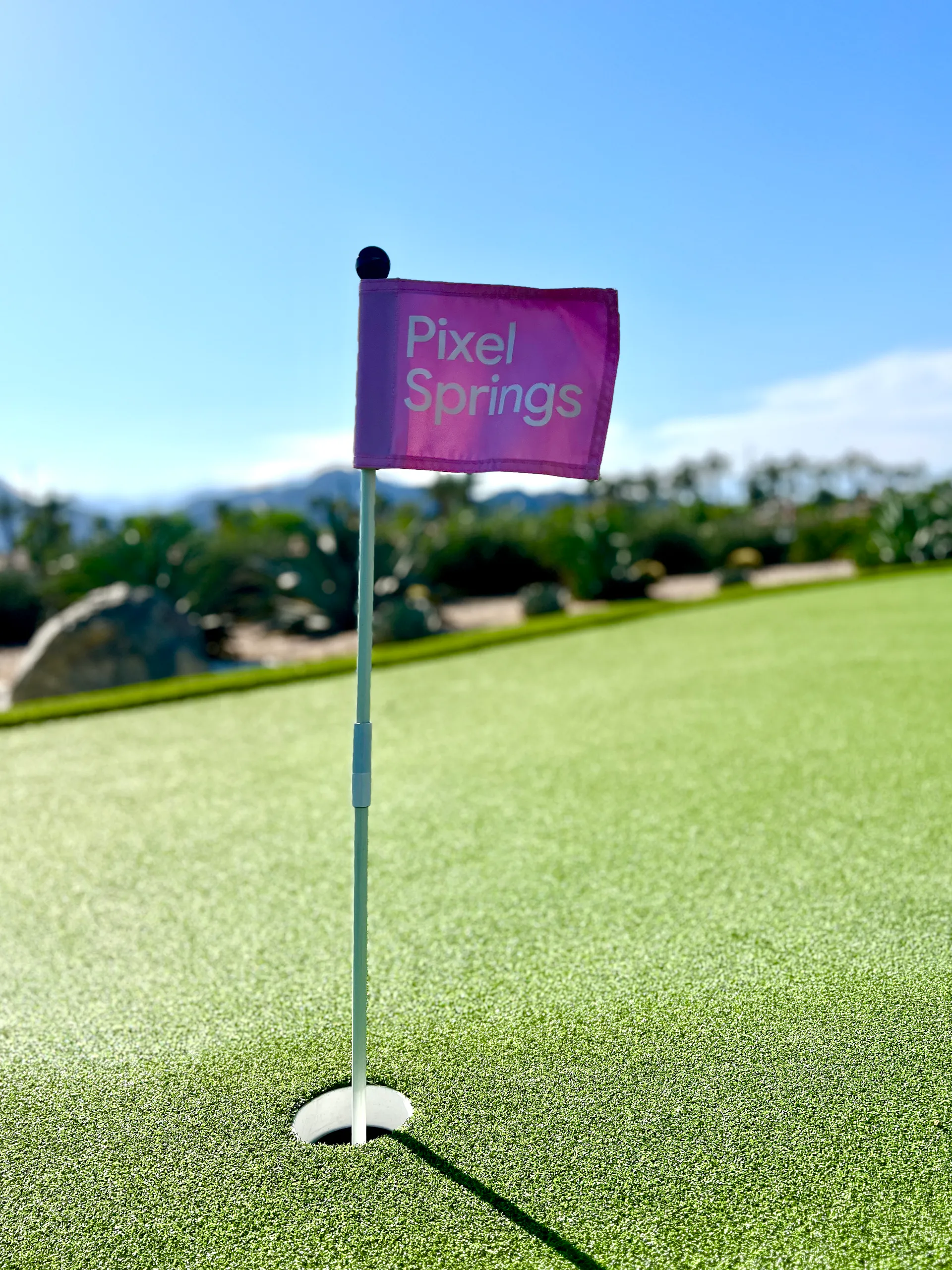 Pixel Springs at Coachella — A Day at Pixel Springs